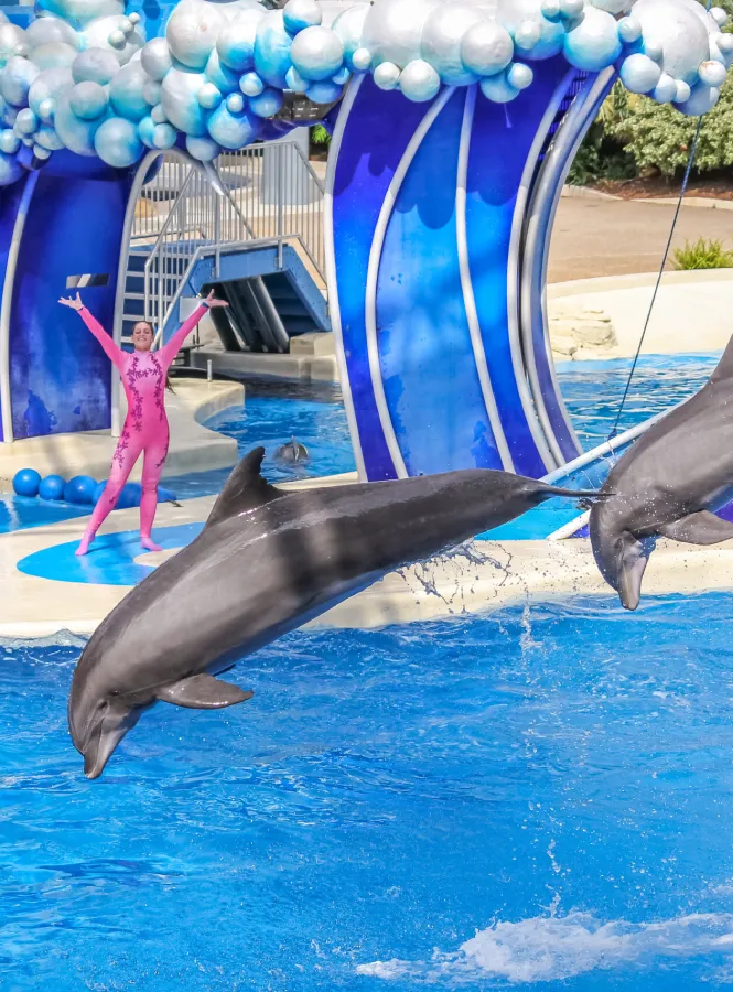 limo service orlando airport to seaworld