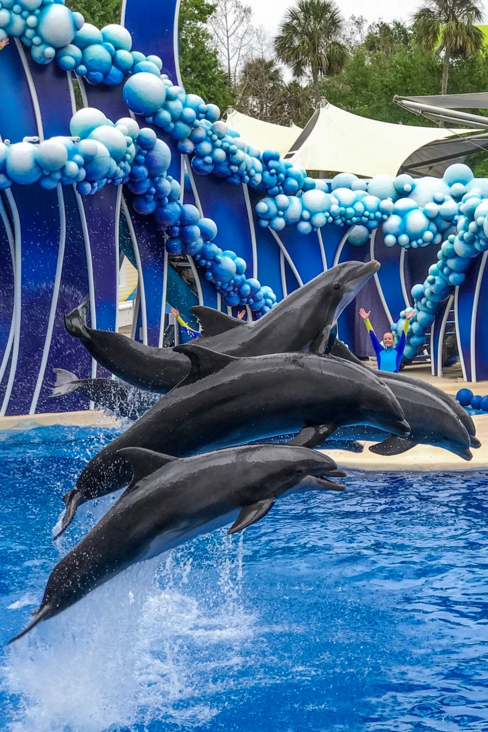 transportation from orlando airport to seaworld