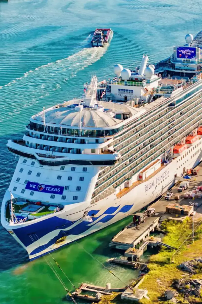 Princess Cruise Line Transportation Service Orlando for Families and Groups
