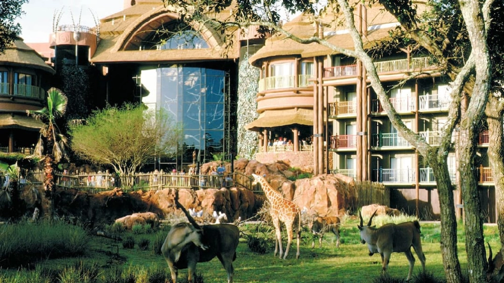 Private shuttle to Disney’s Animal Kingdom Lodge