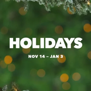 Holiday parade and lights at Universal Orlando Resort