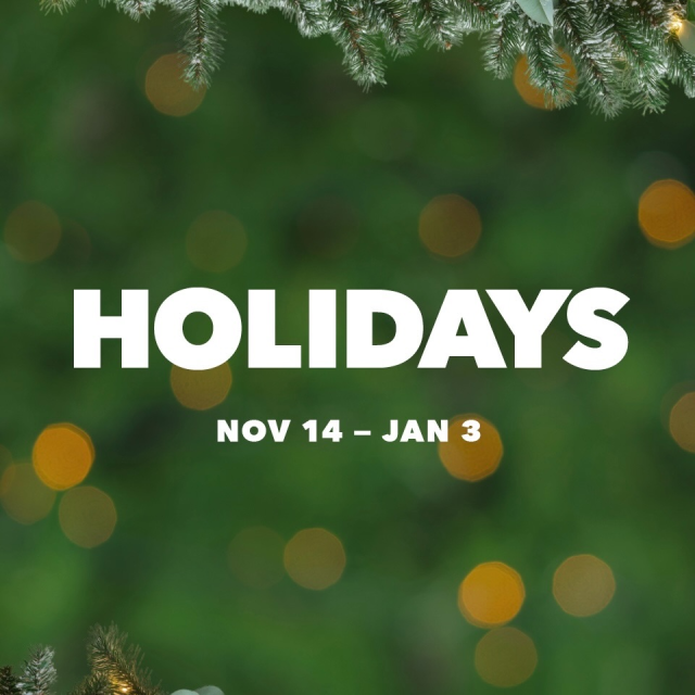 Holiday parade and lights at Universal Orlando Resort