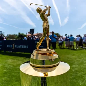 Golf fans watching THE PLAYERS Championship tournament at TPC Sawgrass