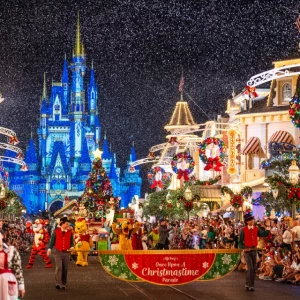 Mickey’s Very Merry Christmas Party at Magic Kingdom with lights and fireworks
